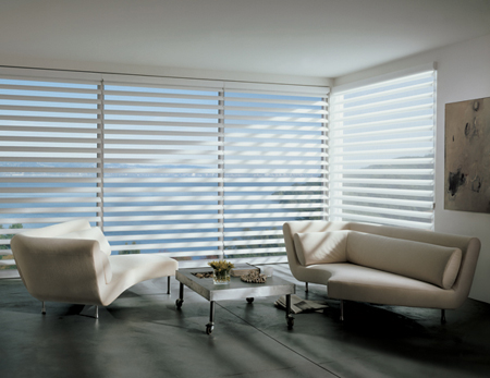 Hunter Douglas Pirouette Window shadings