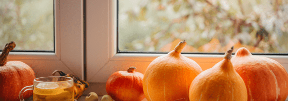 Fall Window Covering Trends: How to Create a Warm, Cozy Space in the Okanagan