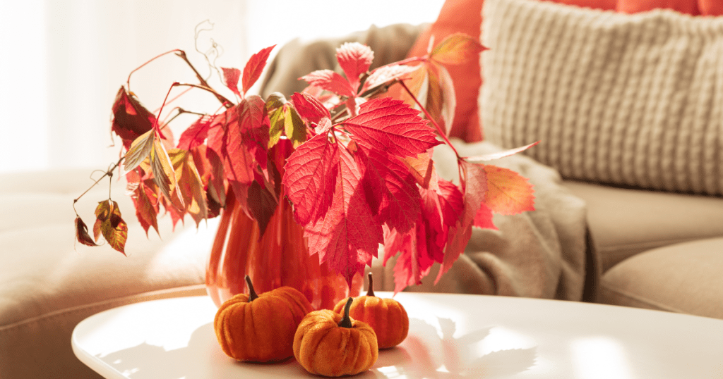 Cozy space in Kelowna