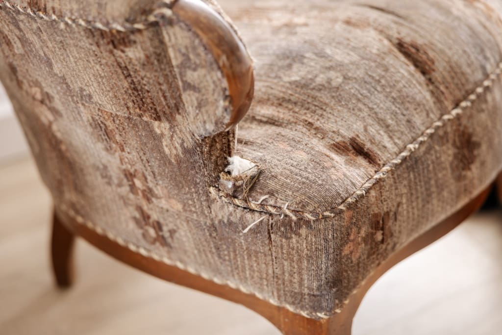 Couch Repair and Restoration