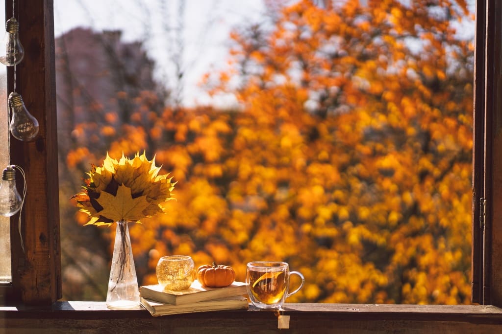 Fall Home Refresh: How to Warm Up Your Kelowna Home with Custom Window Treatments and Upholstery