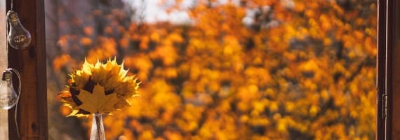 Fall
